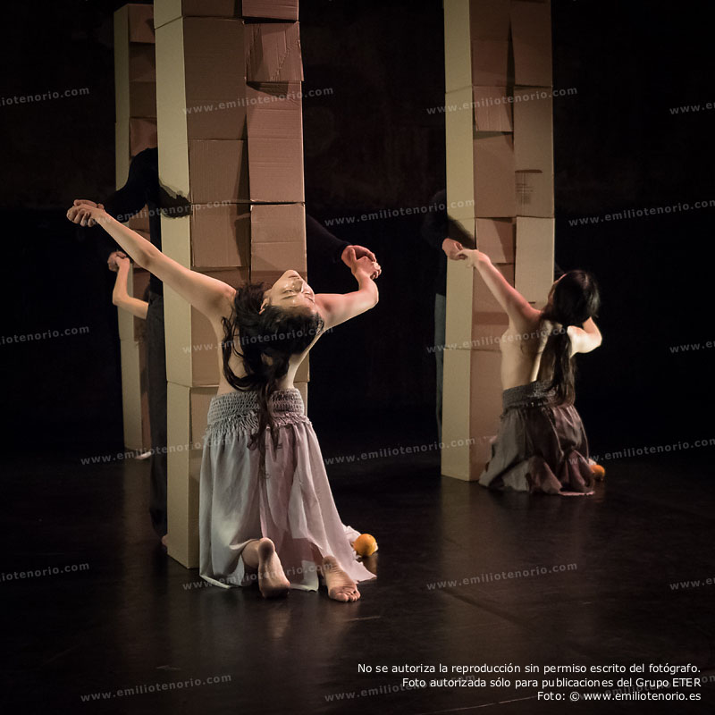 ETER.COM - Seda - Provisional Danza y Organworks - Territorio Danza - Cuarta Pared - foto: © Emilio Tenorio